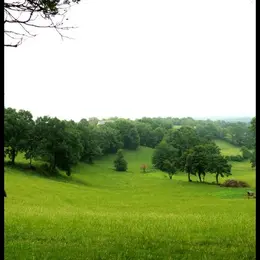Les terroirs des noyers