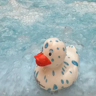 Les thermes Südpfalz Therme fêtent leurs 20 ans