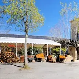 Les tilleuls au Camping 3