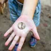 Les Tours de Merle - les apprentis archéologues
