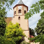 Le sentier des Grands Crus, vue imprenable sur le vignoble alsacien