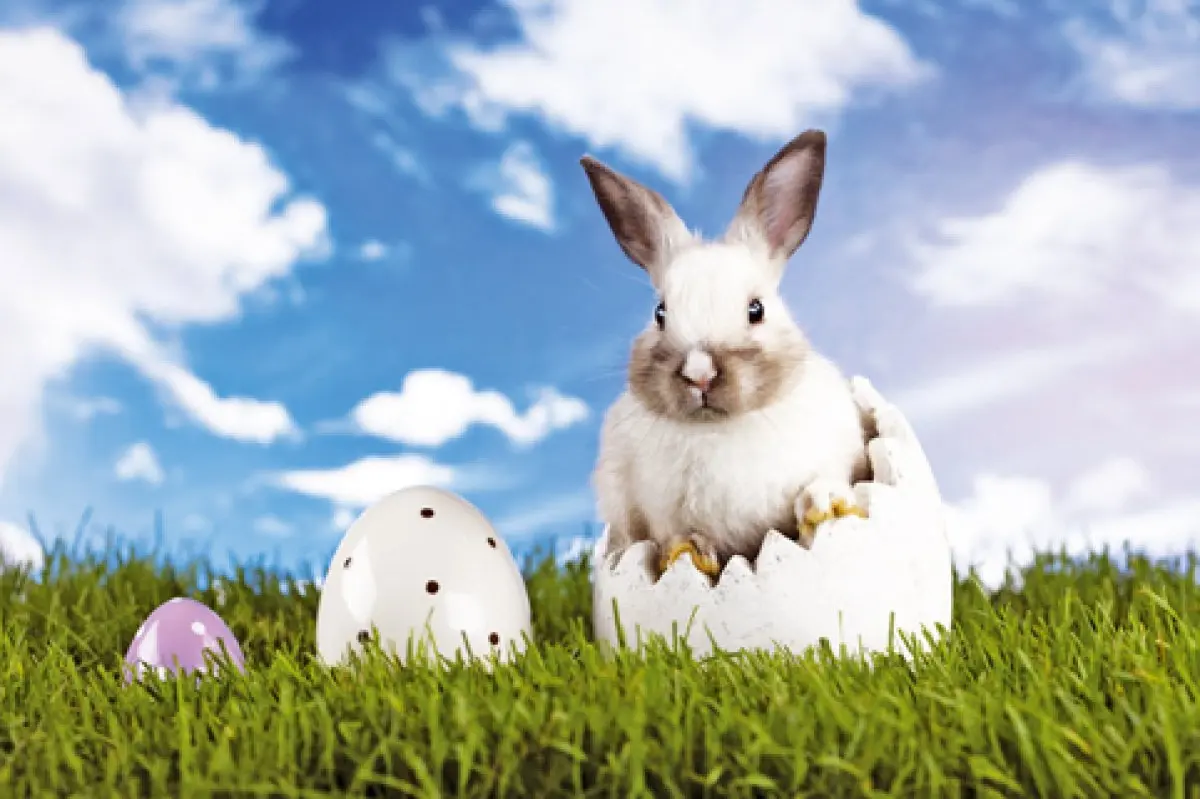 Les traditions de Pâques