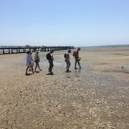 Les trésors de la plage à marée basse