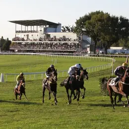 Les Trois Glorieuses : course hippique à l'Hippodrome de La Touche de Craon
