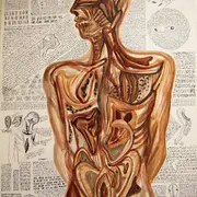 Les vacances au musée : Autour de l'oeuvre de Michel Batlle