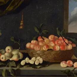 Les vacances au musée : La nature morte dans tous les sens