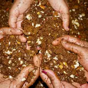 Les vacances de l'Office : Les p'tits paléontologues