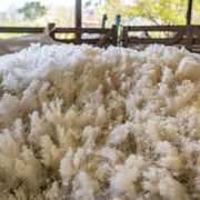 Les vacances de printemps à la ferme