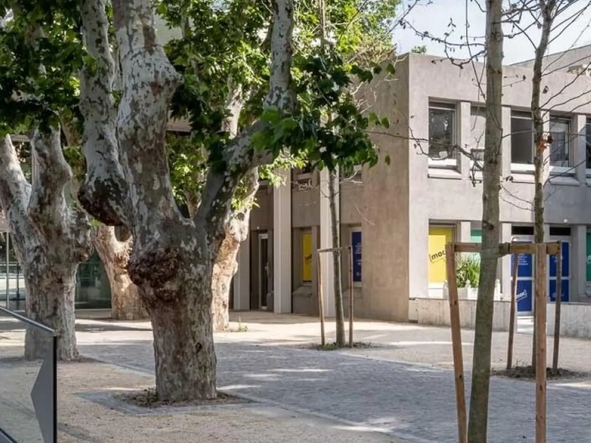 Les Veilleurs - Ali Cherri