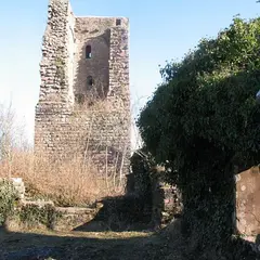 Château du Grand Geroldseck