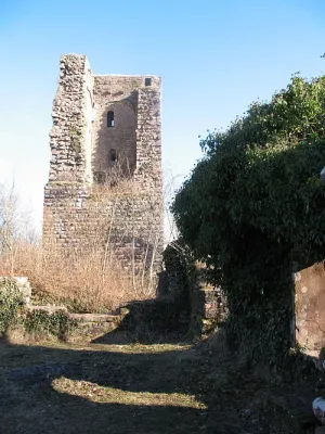 Les vestiges du château du Grand Geroldseck sont abimés mais pas dénués d\'intérêt