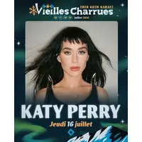 La star de la pop aux Vieilles Charrues 2026 DR