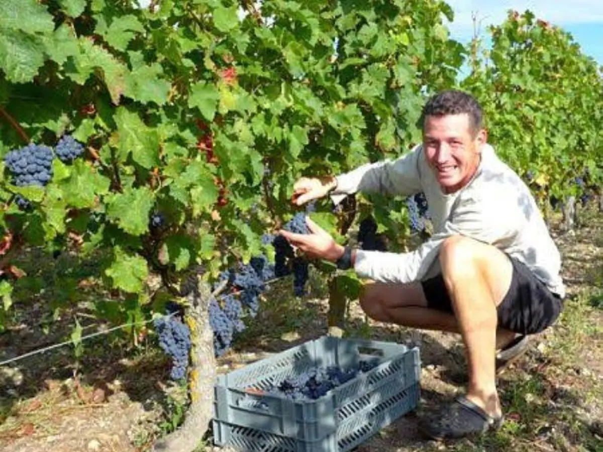 Les Vignerons passent à table avec le Domaine Aurélien Révillot chez Vincent Cuisinier de Campagne