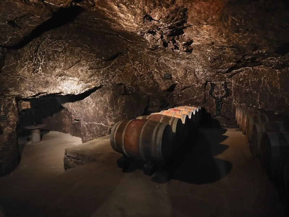 Les Vignerons passent à table Chez Demi-Sel avec le Domaine des Ouches