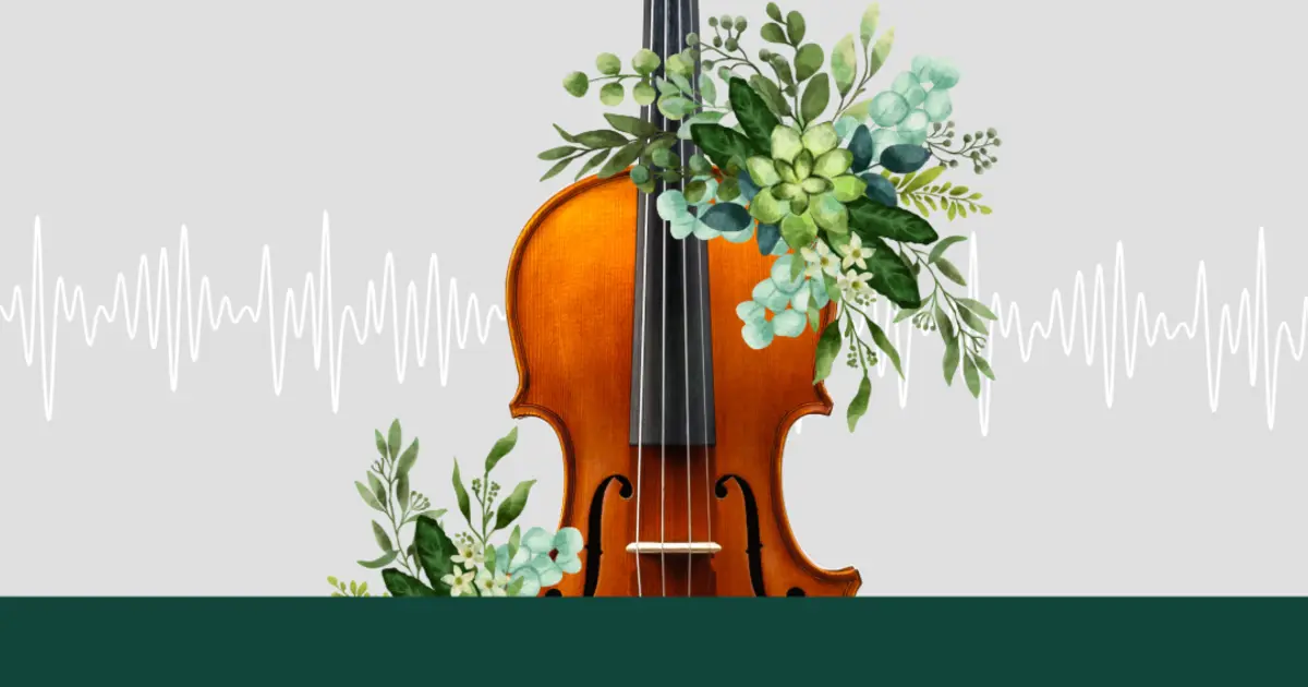 Les violons ambulants