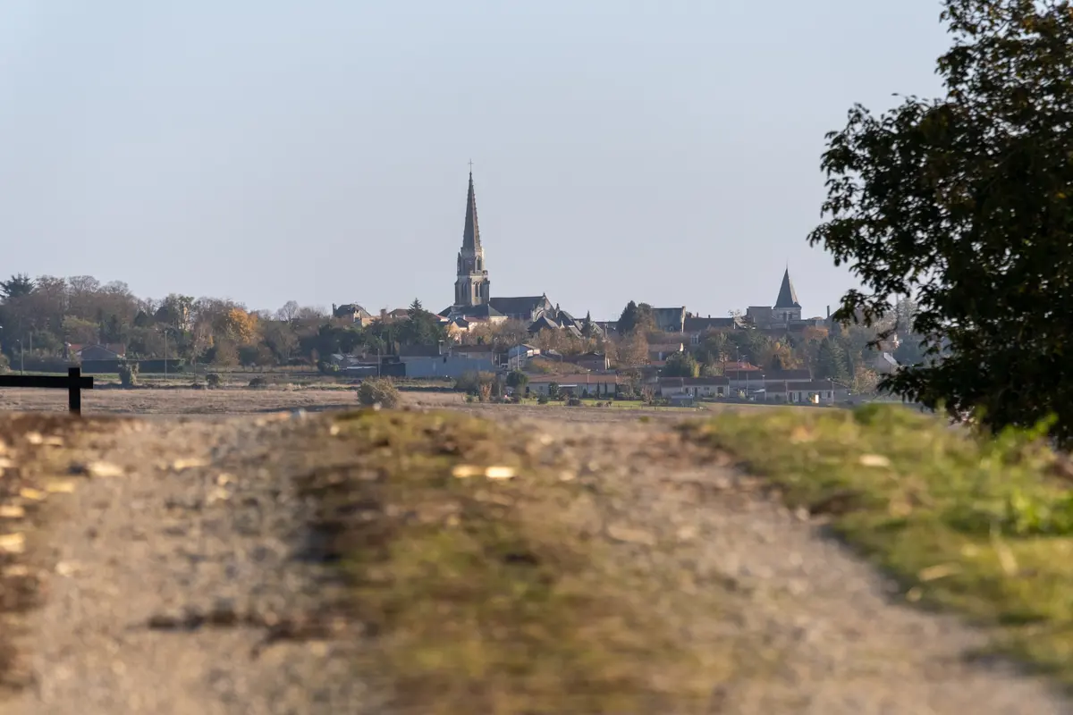Les visites d'Anthony : randonnée à Seuilly