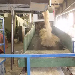 Les Visites du Jeudi > Agrochanvre