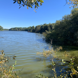 Les visites guidées de la Réserve Naturelle de l'Etang Noir