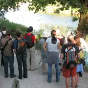 Les visiteurs d'Eté