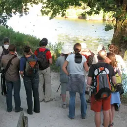 Les visiteurs d'Eté
