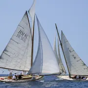 Les Voiles du Vieux Port