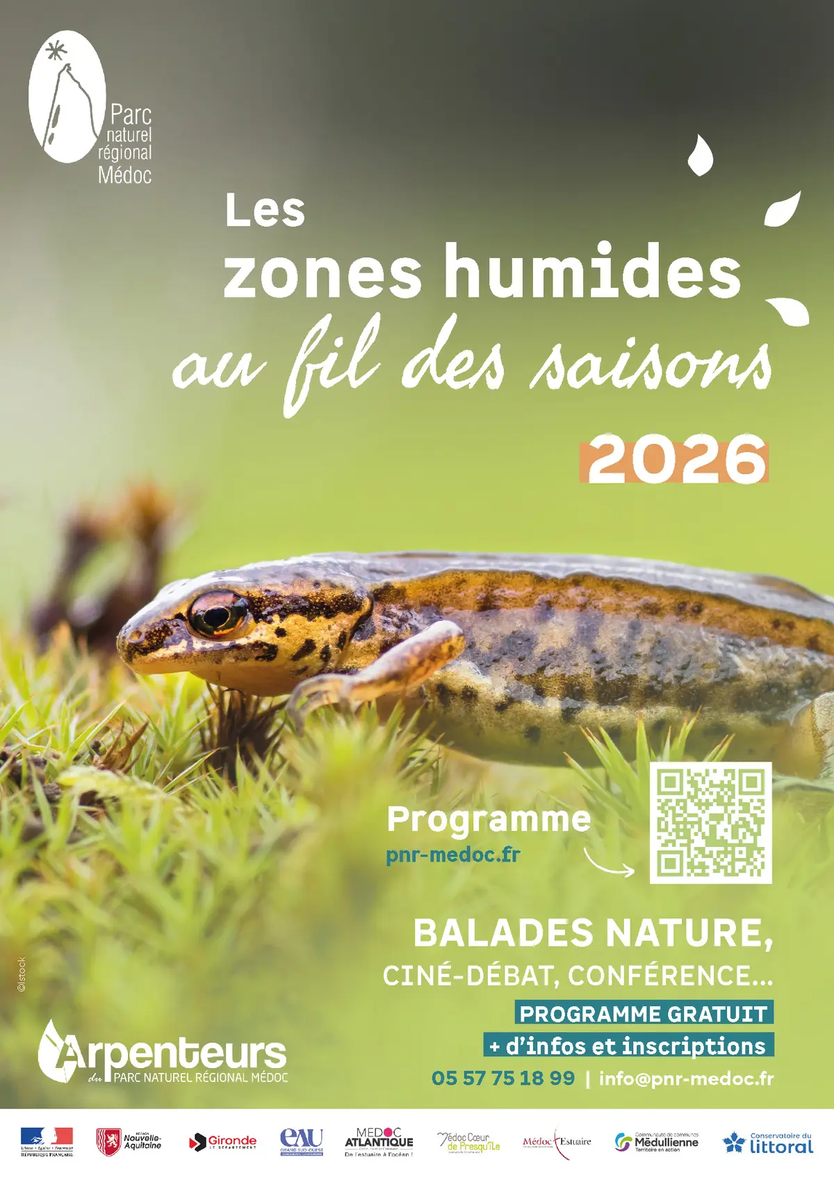 Les zones humides au fil des saisons : Initiation à la botanique et aux plantes domestiques du bord d'estuaire