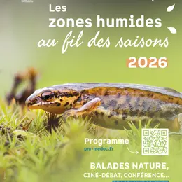 Les zones humides au fil des saisons : Initiation à la botanique et aux plantes domestiques du bord d'estuaire
