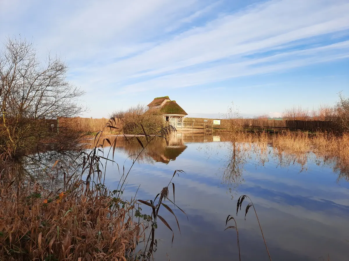 Les zones humides, un patrimoine commun