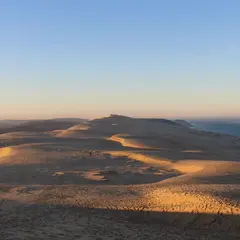 Lever du soleil sur la dune du Pilat