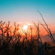 Lever Du Soleil Sur Le Causse Méjean