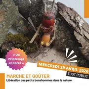 Libération des Petits bonshommes des bois dans la nature