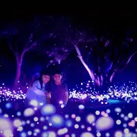 Light Cycles : Un parcours nocturne scintillant au Parc de la Villette à Paris DR