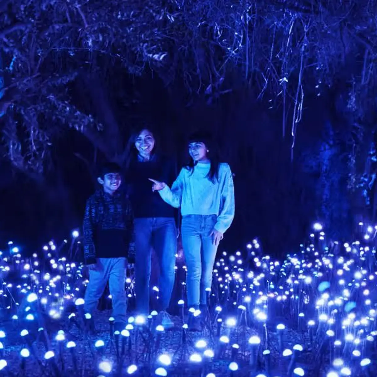 Light Cycles : Un parcours nocturne scintillant au Parc de la Villette à Paris