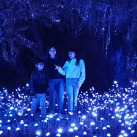 Light Cycles : Un parcours nocturne scintillant au Parc de la Villette à Paris DR