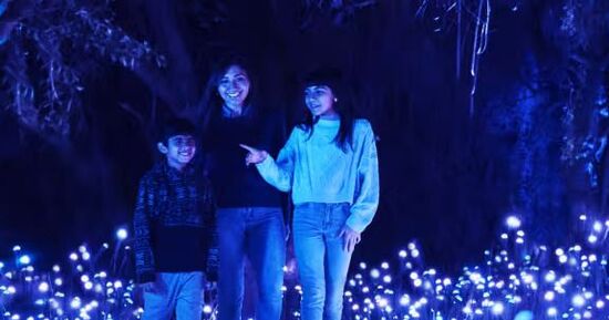 Light Cycles Paris : exp&eacute;rience immersive nocturne au Parc de la Villette