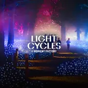 Light Cycles : Un parcours nocturne scintillant entre nature, lumière et sons