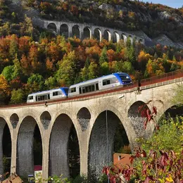 Ligne de shirondelles
