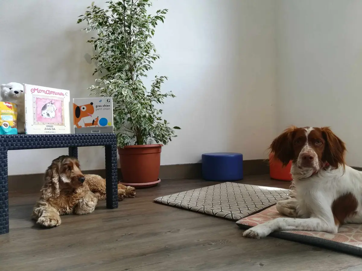 Lire avec les chiens