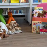 Lire avec les chiens
