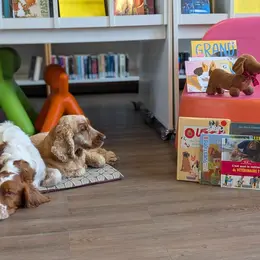 Lire avec les chiens