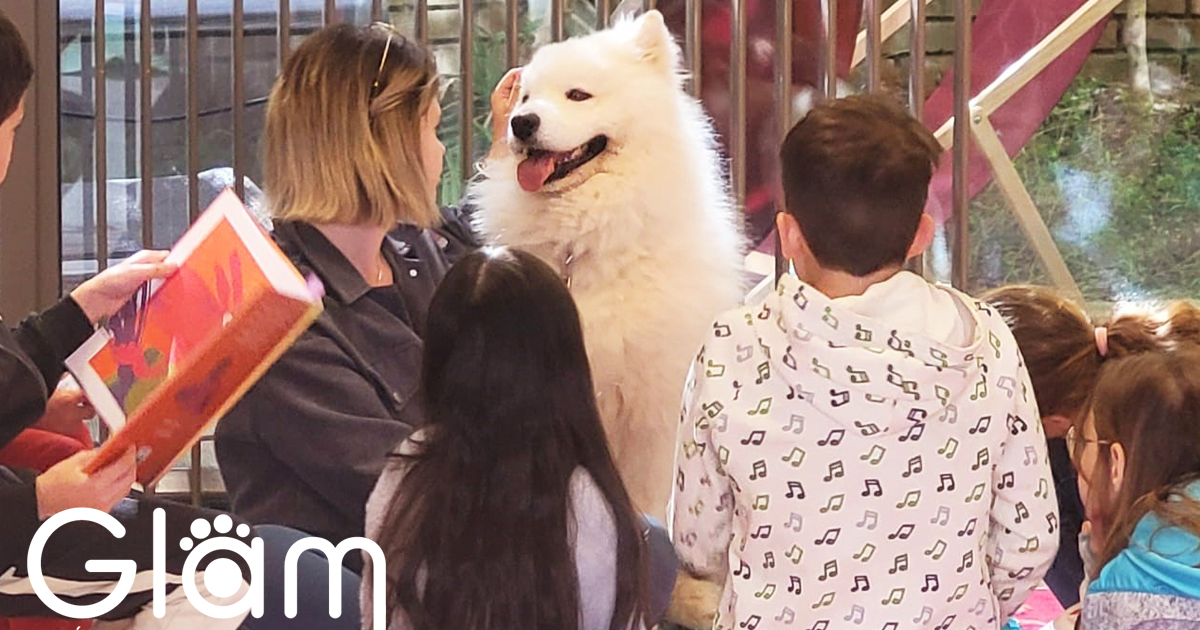 Lire avec un chien : des histoires de wouf !