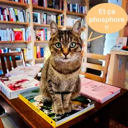 Livres, Books & Co : Thé Philo