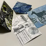 Livres d’artistes et Cie : Sans réserve !