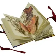 Livres d'artistes La nature à l'oeuvre
