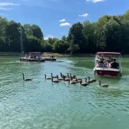 On fait quoi ce week-end dans le Val-d'Oise ? 3 idées du 14 au 16 août 2026, Assomption incluse !