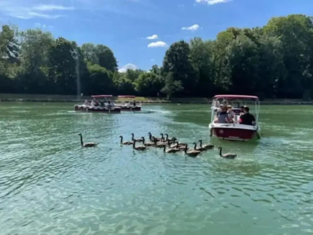 Location de bateau électrique (11 pers. max) à Cergy