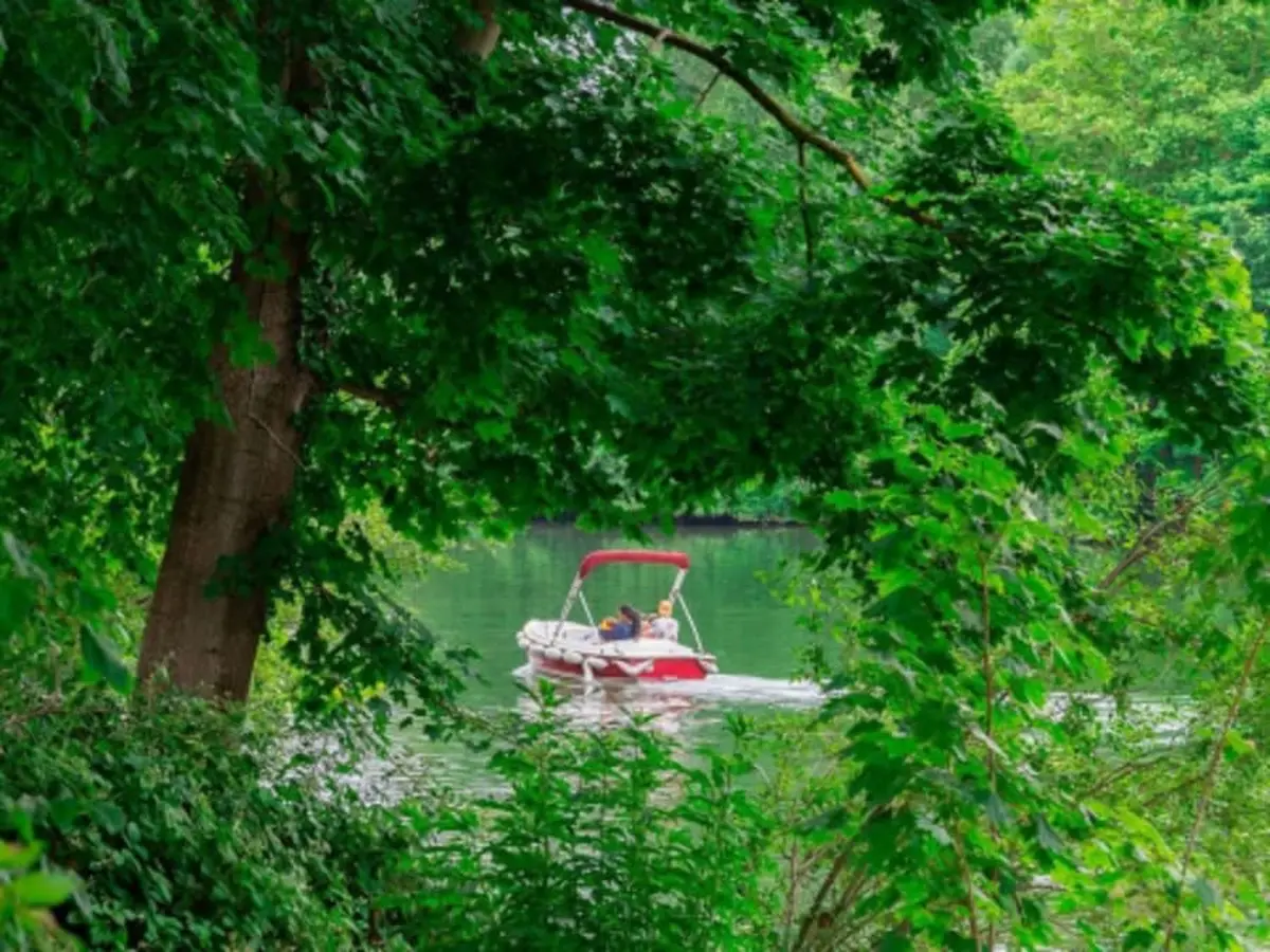 Location de bateau électrique (5 pers. max) à Bougival