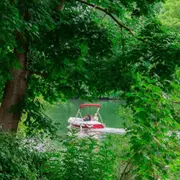 Location de bateau électrique (5 pers. max) à Bougival