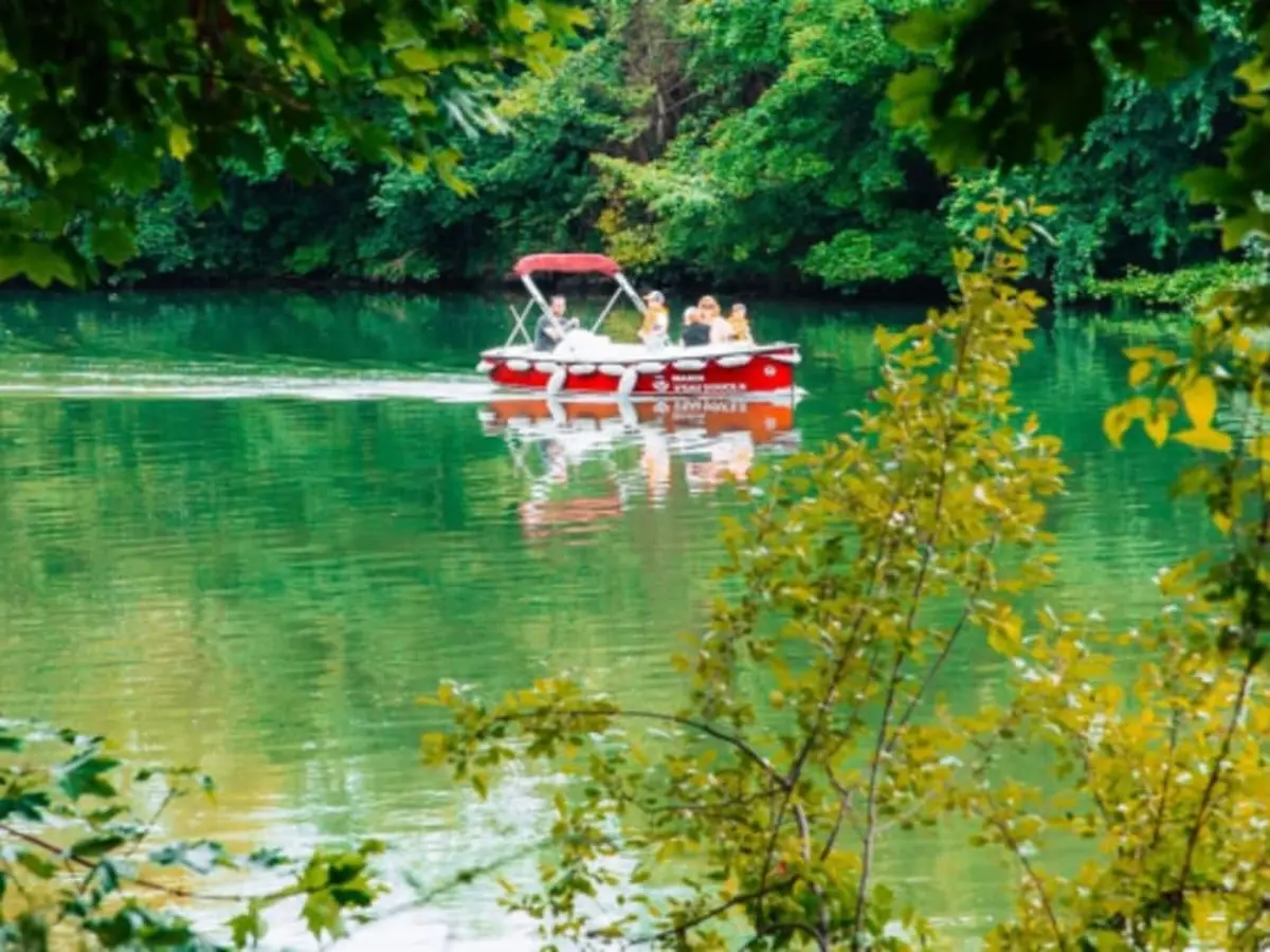 Location de bateau électrique (9 pers. max) à Bougival