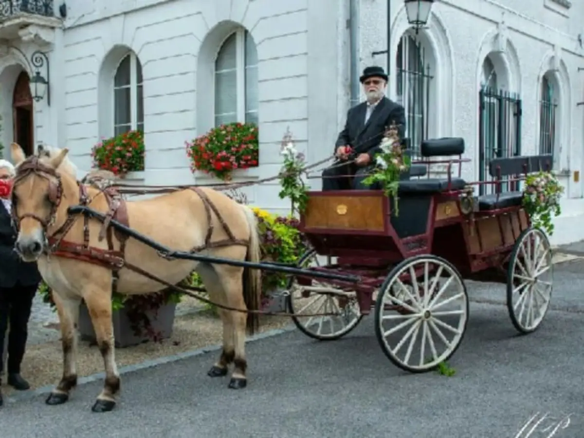 Location de Calèche pour Mariage proche de Brie (77)